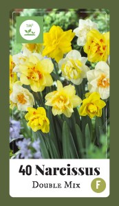 320.560 Label - 40 Narcissus Double Mix7